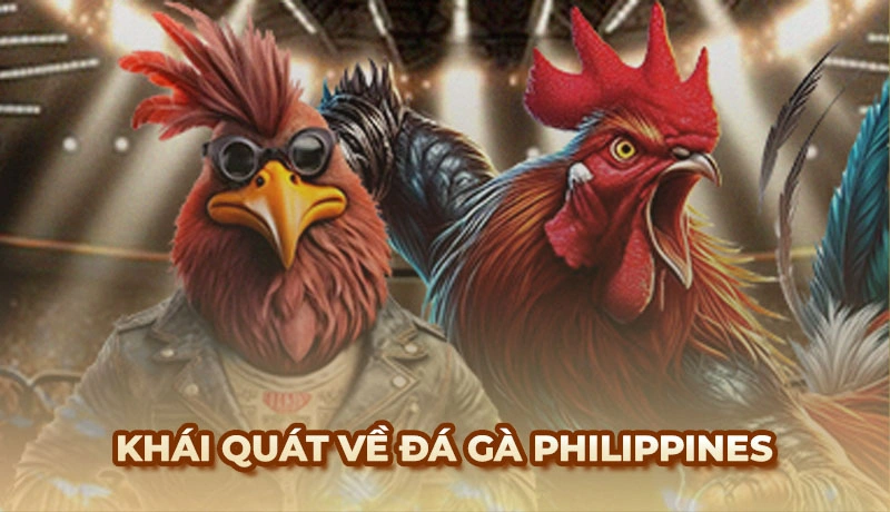 Khái quát tổng quan về đá gà Philippines