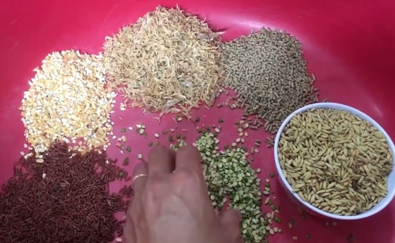 Công thức trộn ngũ cốc cho gà đá theo từng giai đoạn cụ thể